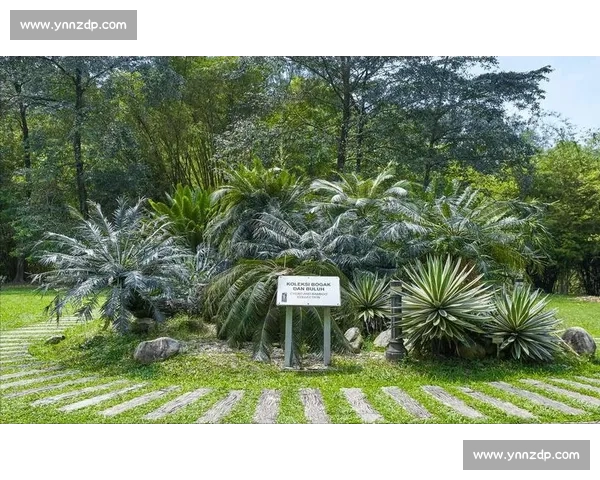 金杯赛非洲独苗：南非 2005 年的跨洋之旅